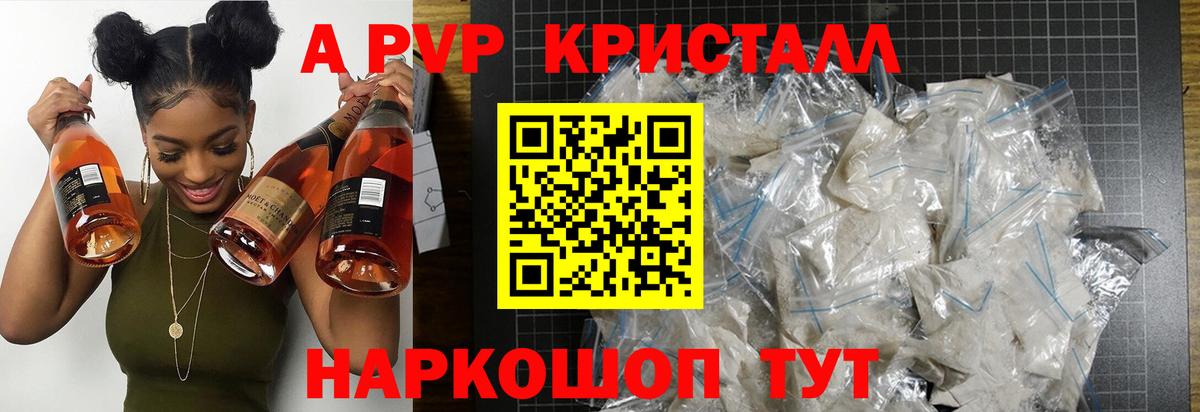 APVP СК Сыктывкар