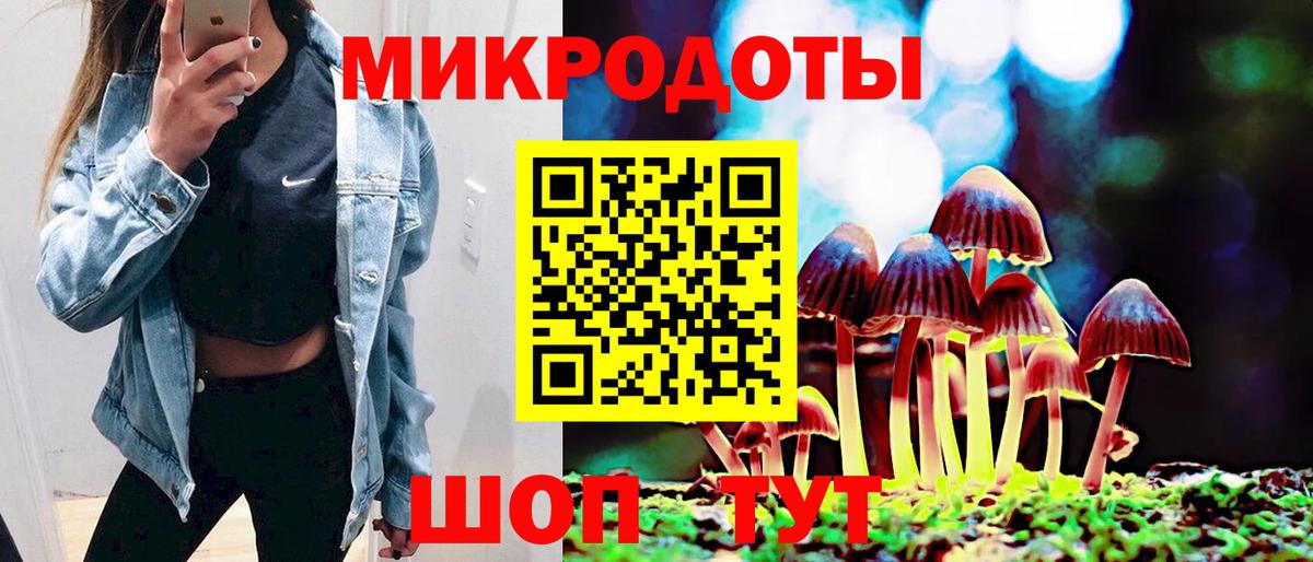 Псилоцибиновые грибы мицелий  что такое наркотик  Сыктывкар  Вход с VPN 