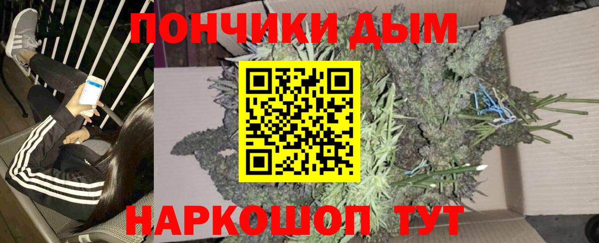 Бошки Шишки SATIVA & INDICA  Бошки марихуана Ganja  Сыктывкар  Вход с VPN  Марихуана White Widow 